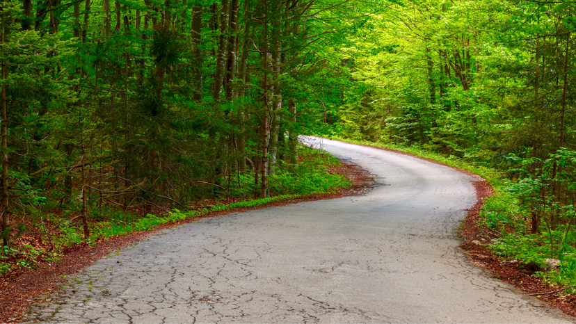 Évaluation d'impact